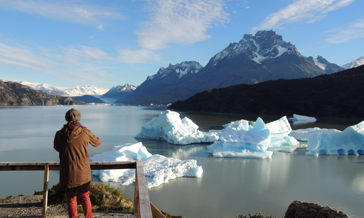 Full Day Paine Tour (Winter)